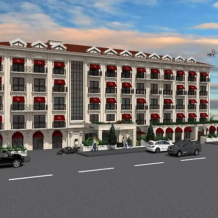 Anemon Bursa