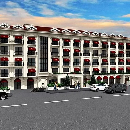 Anemon Bursa