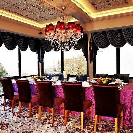 Отель Anemon Bursa