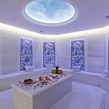 Anemon Bursa Отель