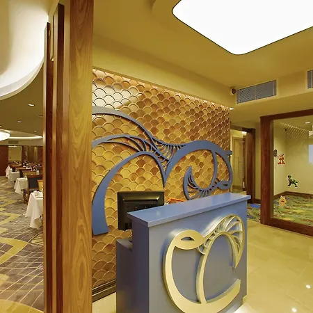 Anemon Bursa